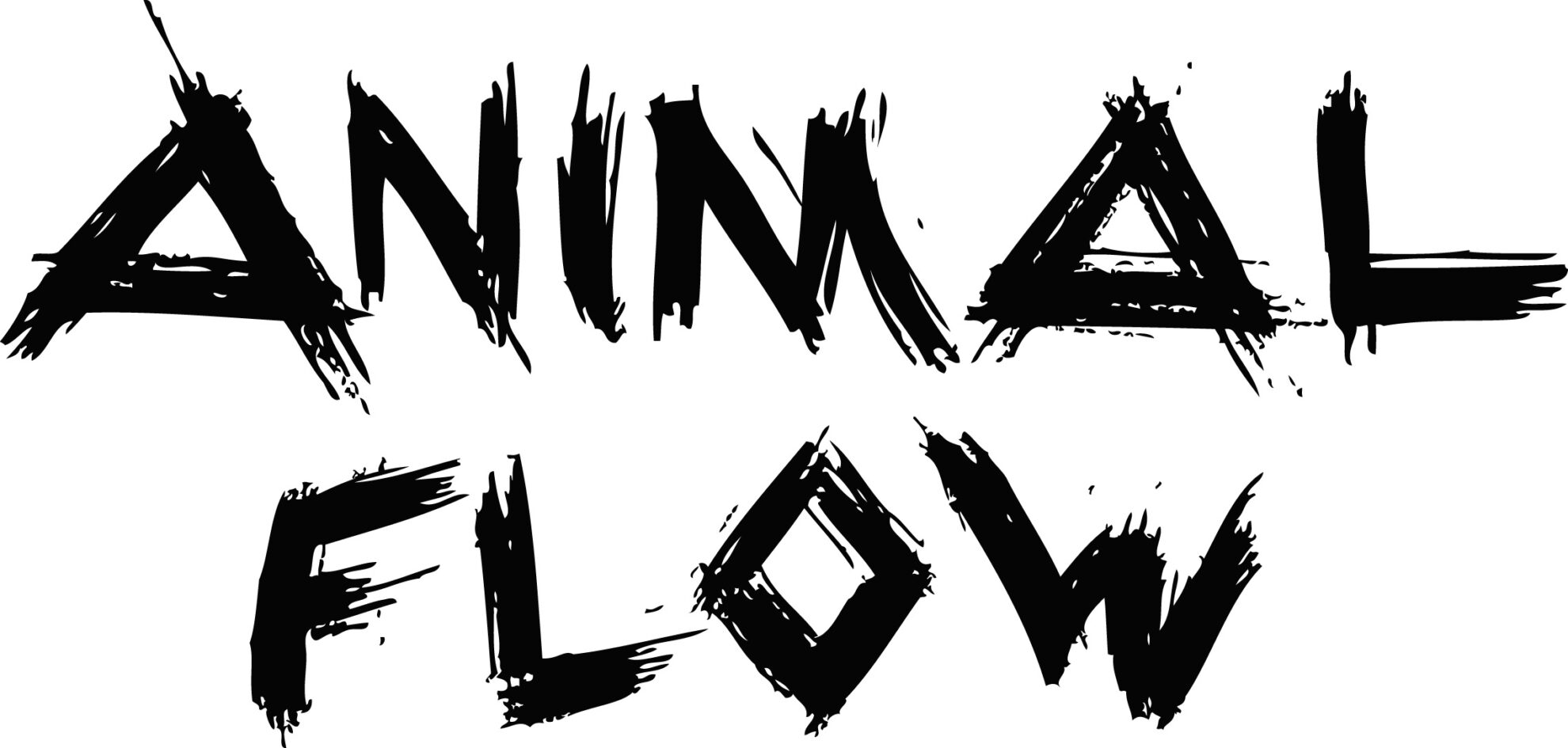 Animal Flow Kurse, oder Privattraining bei Learn to flow