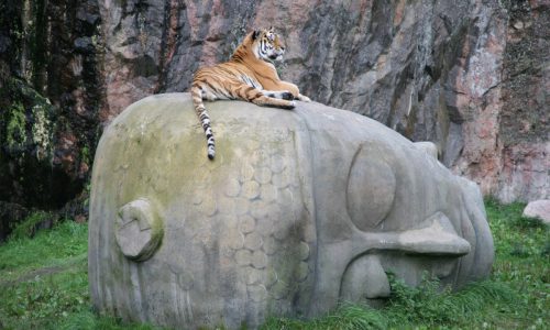 buddha_tiger